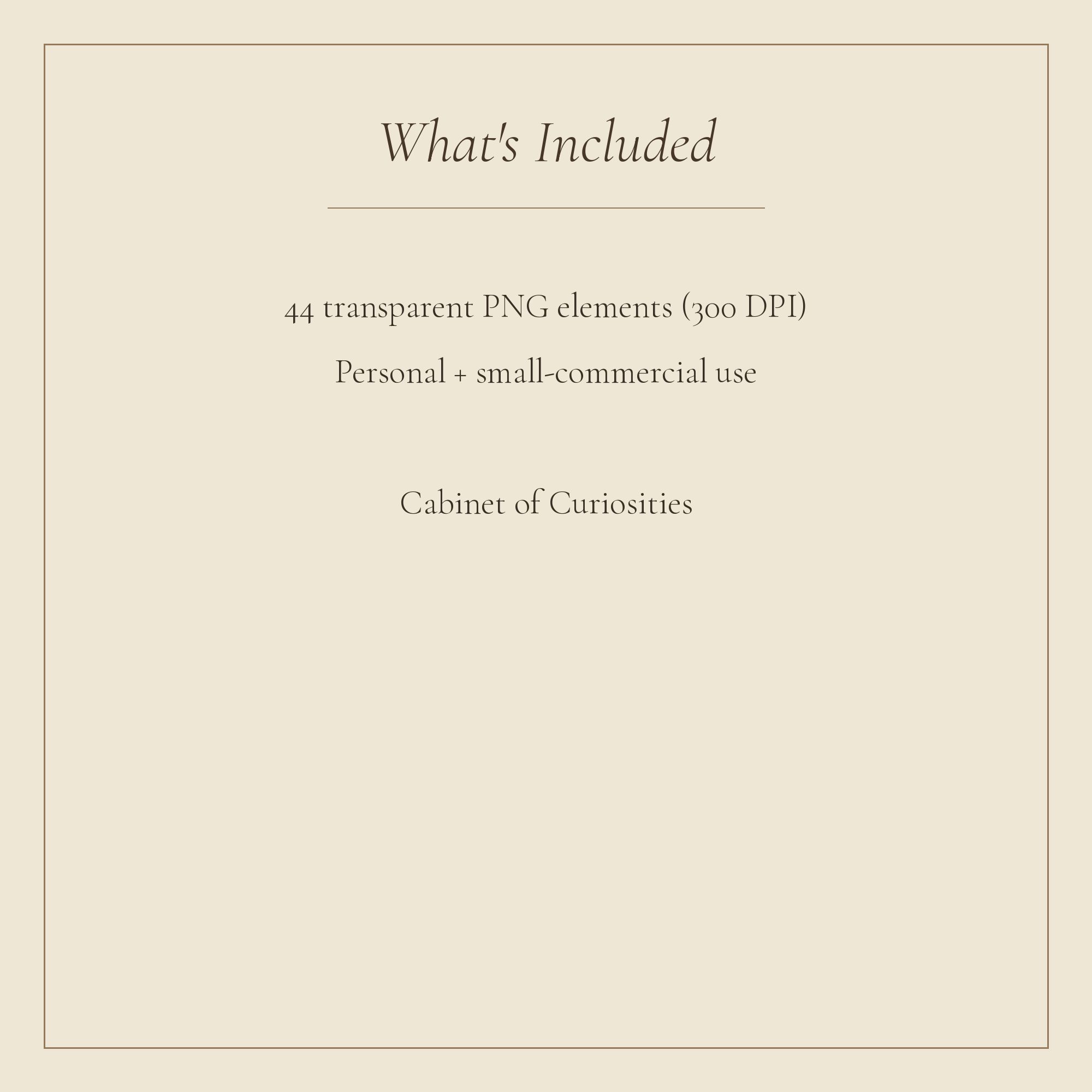 Cabinet of Curiosities Embellishments — preview