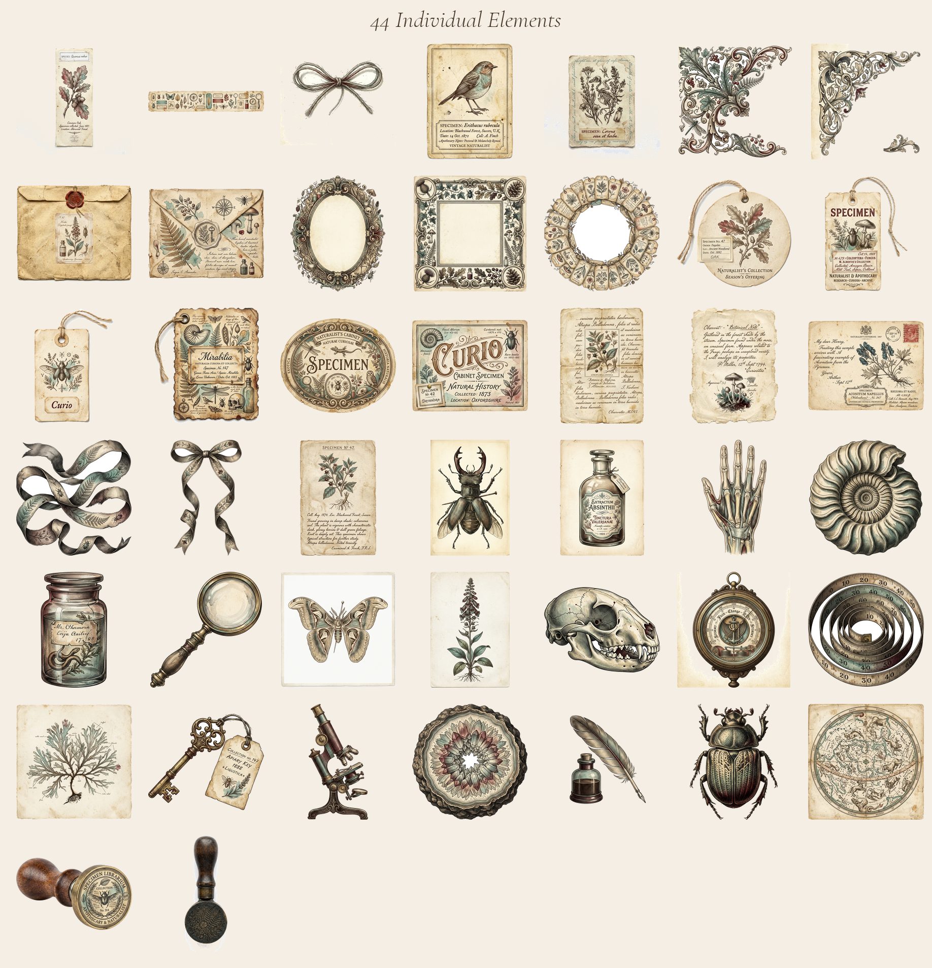 Cabinet of Curiosities Paper Pack — preview