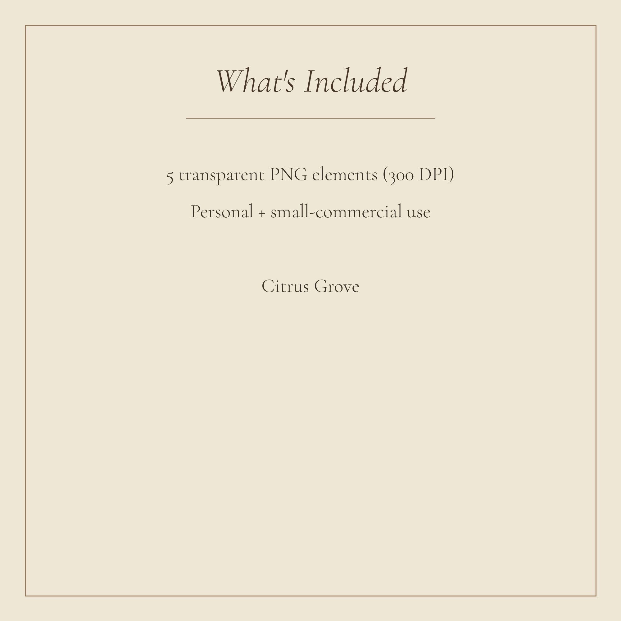 Citrus Grove Envelopes & Seals — preview