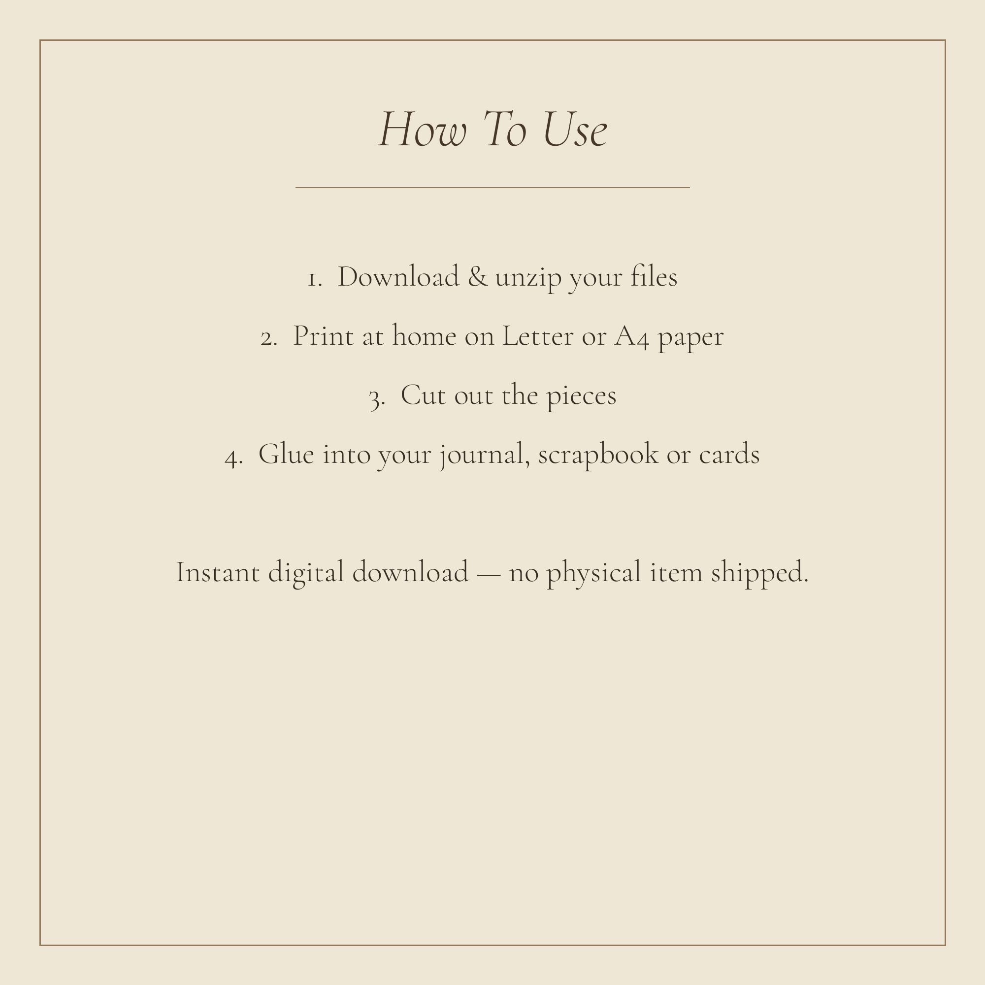 Citrus Grove Frames & Borders — preview
